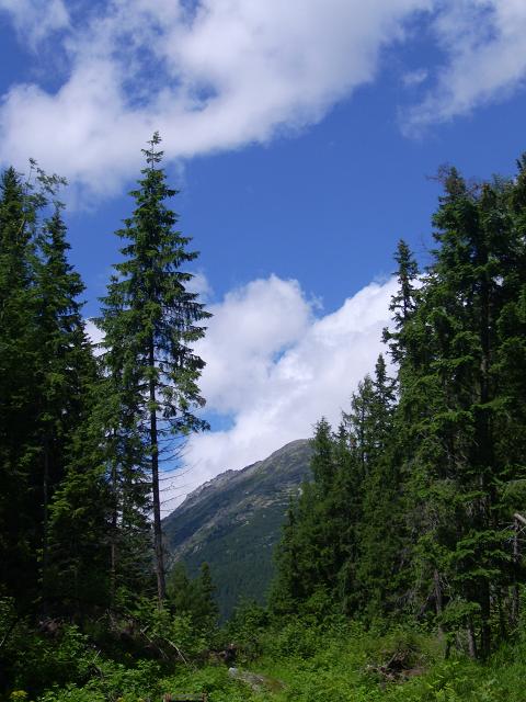 (90)Štrbské Pleso