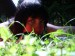 Zuzanka u chaty