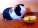 DSC06034.JPG