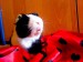 DSC06039.JPG