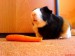 DSC06055.JPG