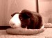 DSC06058.JPG